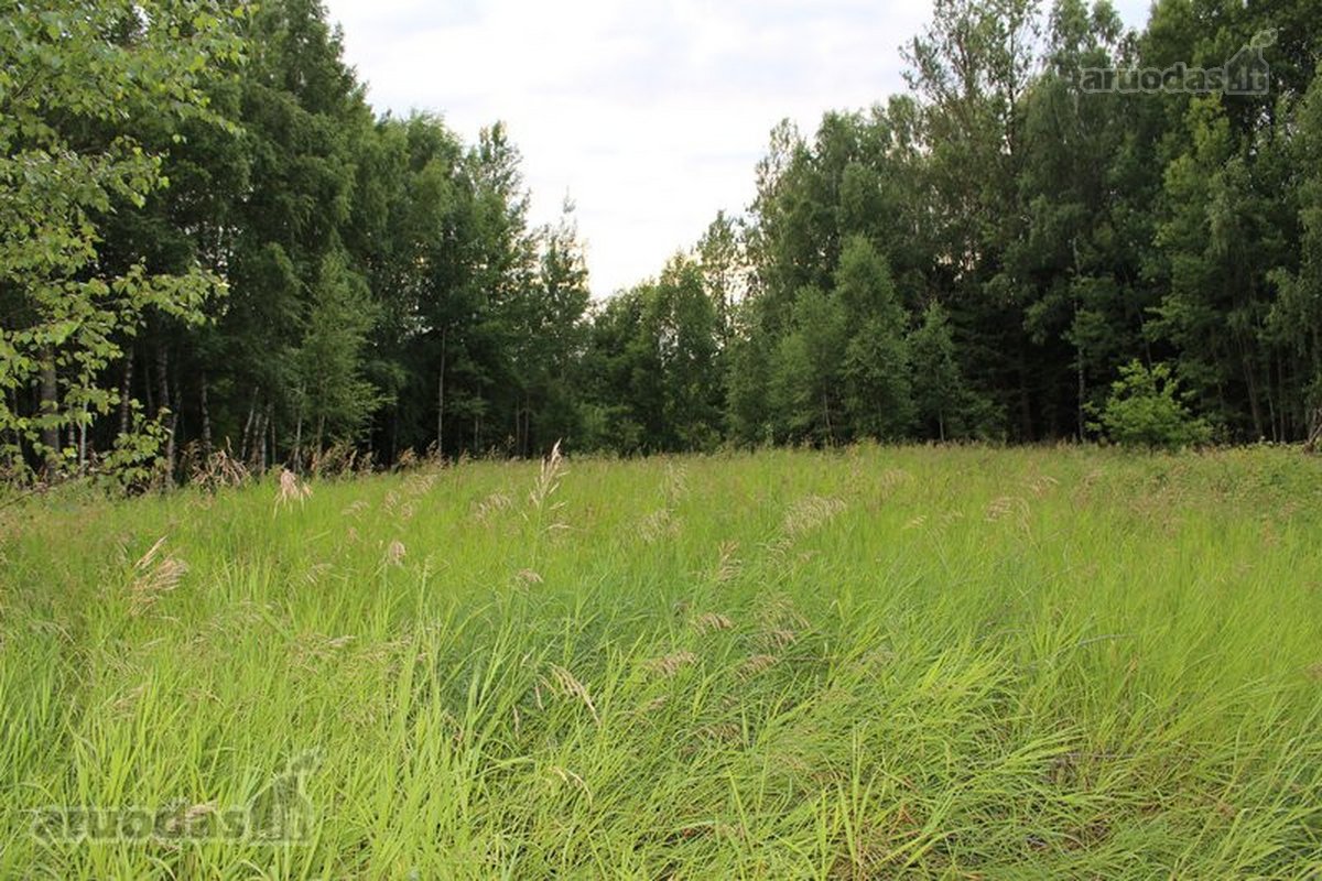 Parduodamas 4,763 ha žemės sklypas Vilniaus - nuotraukos Nr. 4