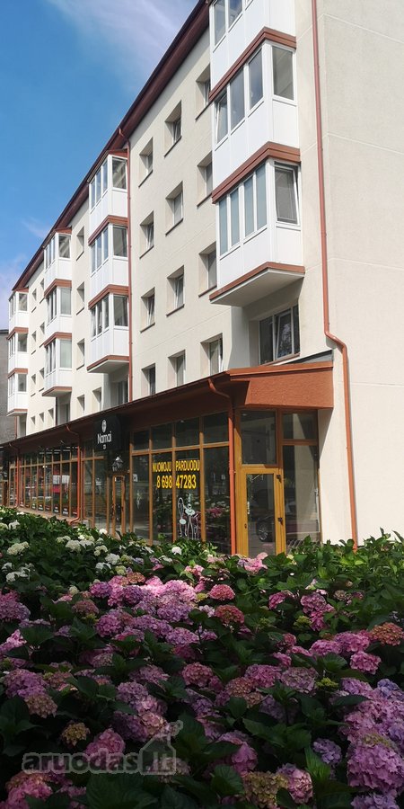 Parduodamos 500 m2 patalpos Taikos pr. 23, - nuotraukos Nr. 3