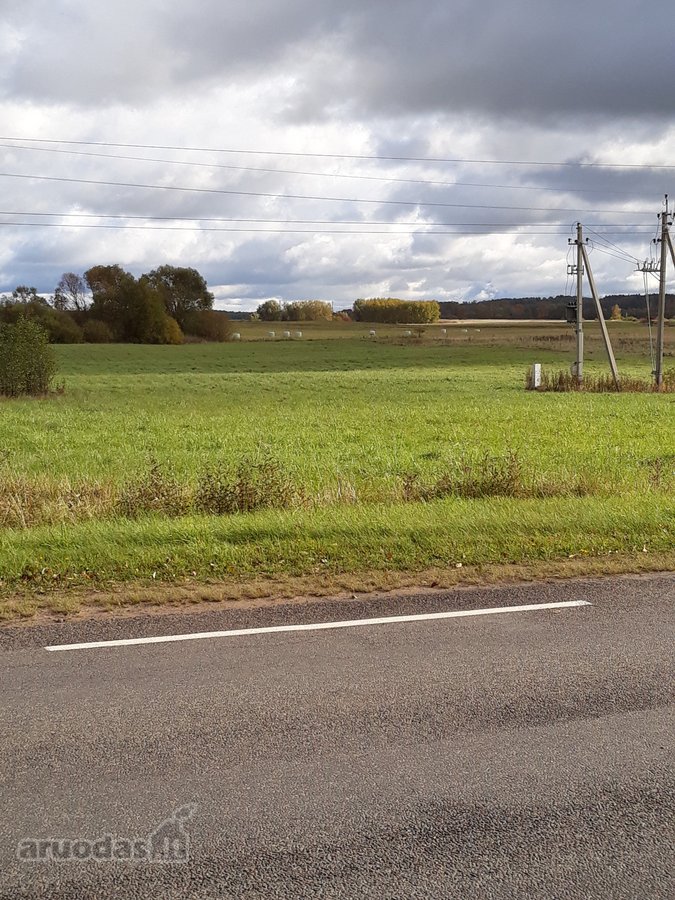 Parduodamas 1,38 ha sklypas 2 km nuo Tauragės - nuotraukos Nr. 3