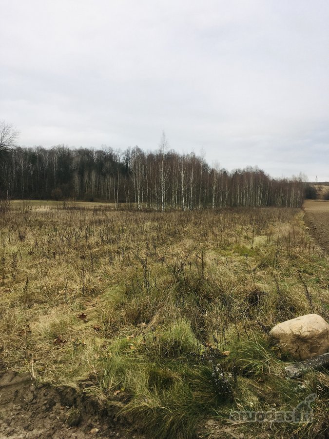 Parduodama be tarpininkų! - nuotraukos Nr. 4