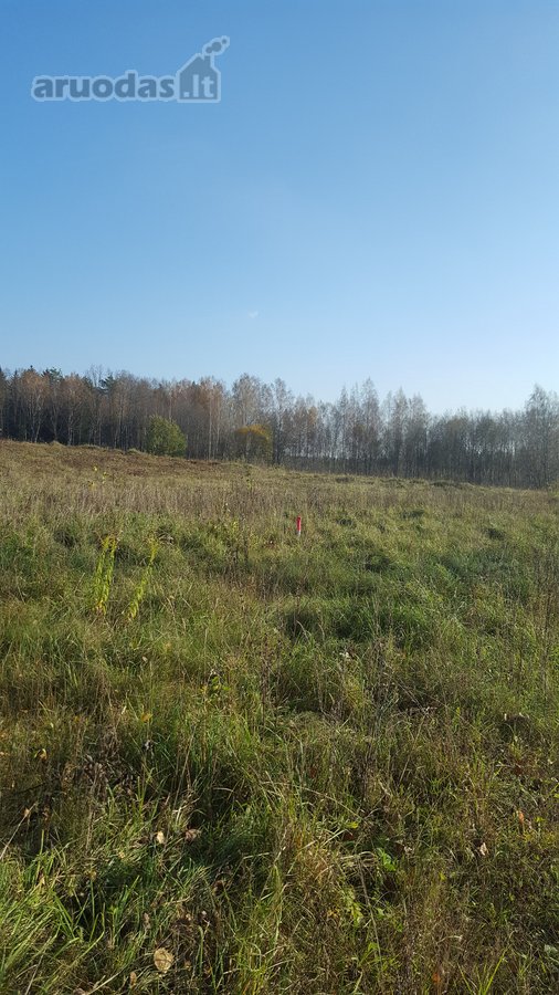 Parduodami 5 namų valdos sklypai po 15arų. - nuotraukos Nr. 20