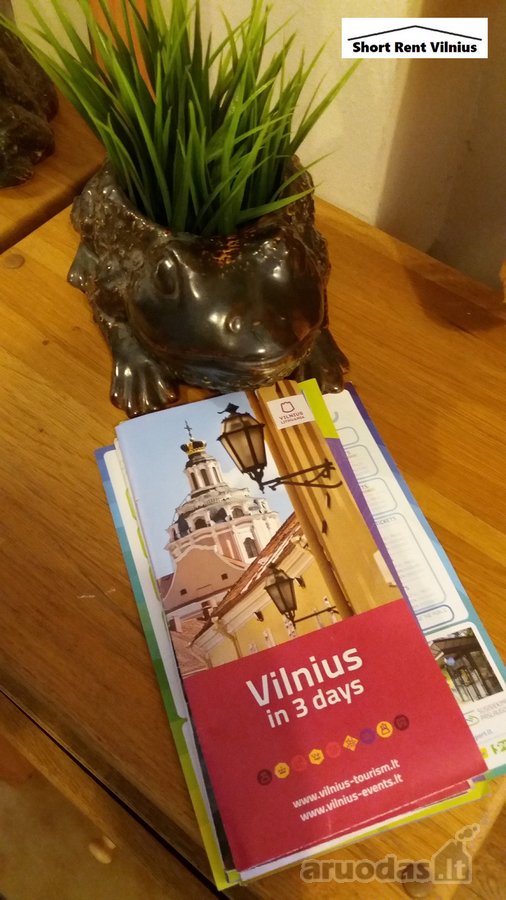 Nuo rugsėjo nuomojamas Savanoriu pr. prie - nuotraukos Nr. 7