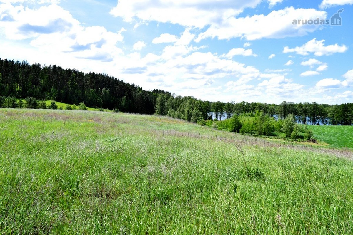 Parduodamas kitos paskirties rekreacinių - nuotraukos Nr. 4