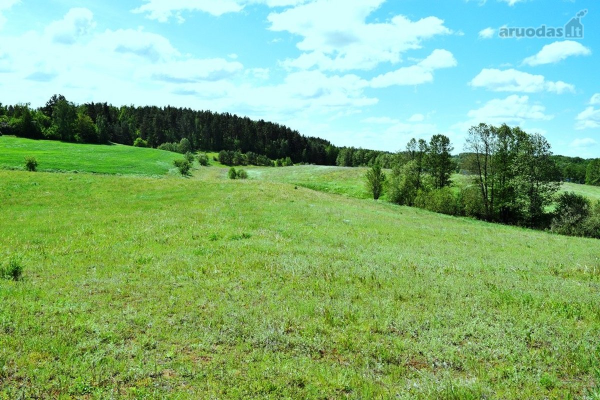 Parduodamas kitos paskirties rekreacinių - nuotraukos Nr. 6