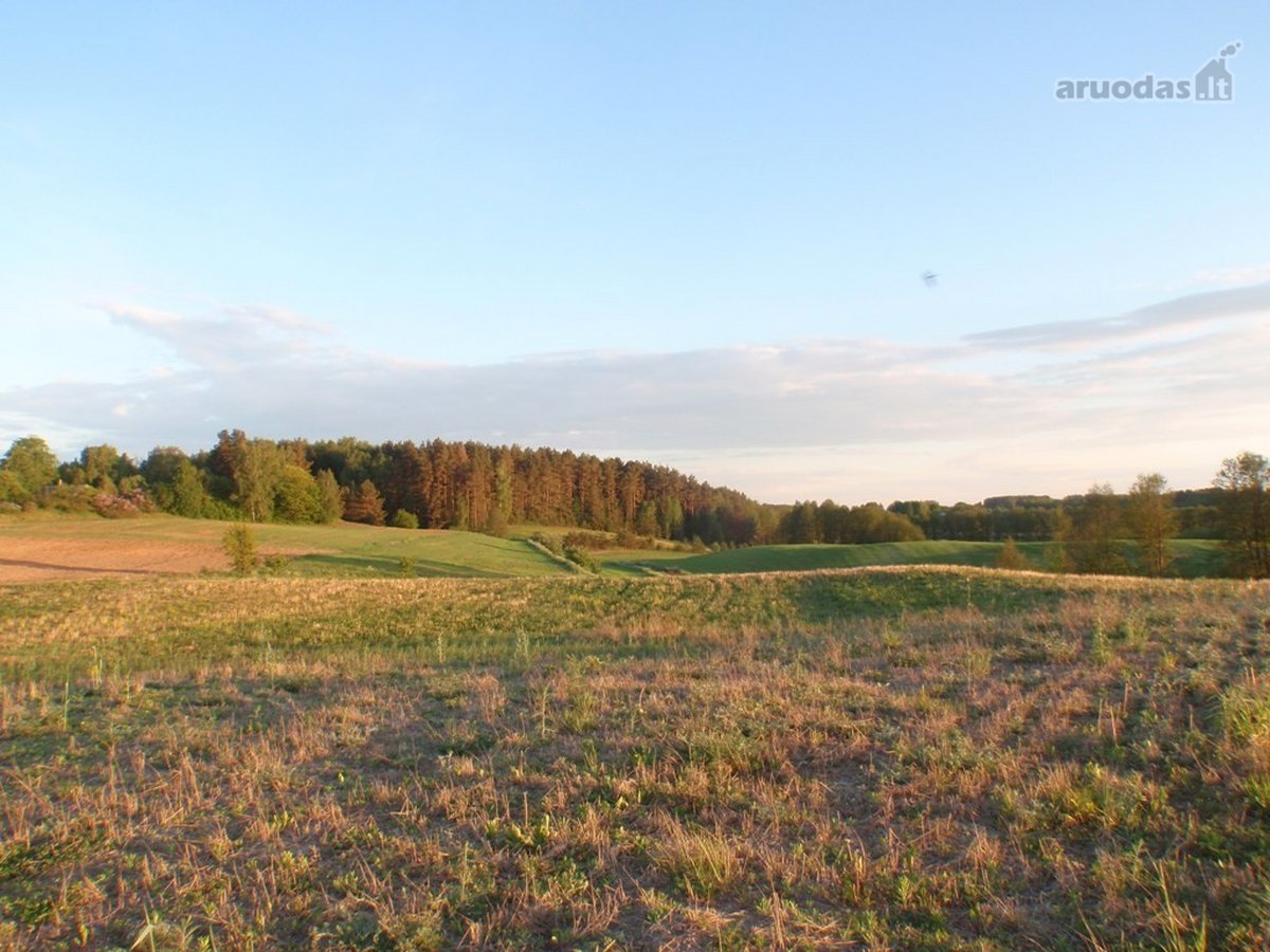 Parduodamas kitos paskirties rekreacinių - nuotraukos Nr. 9