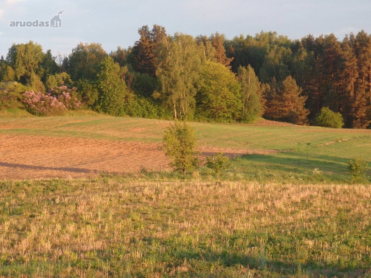 Parduodamas kitos paskirties rekreacinių - nuotraukos Nr. 10