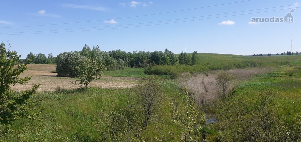 Laba ,parduodamas sklypas tarp Pikeliskiu ir - nuotraukos Nr. 8