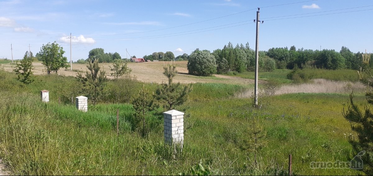 Laba ,parduodamas sklypas tarp Pikeliskiu ir - nuotraukos Nr. 5