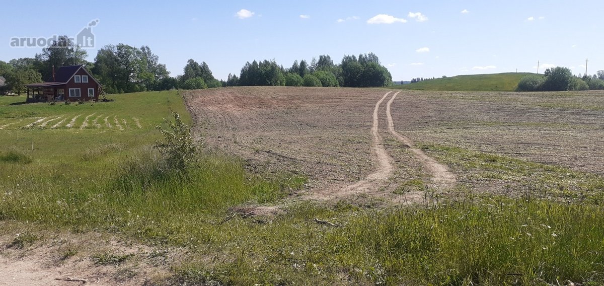 Laba ,parduodamas sklypas tarp Pikeliskiu ir - nuotraukos Nr. 10