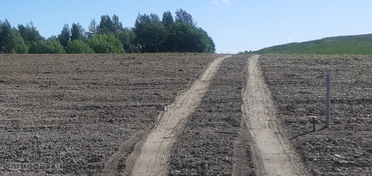 Laba ,parduodamas sklypas tarp Pikeliskiu ir - nuotraukos Nr. 12