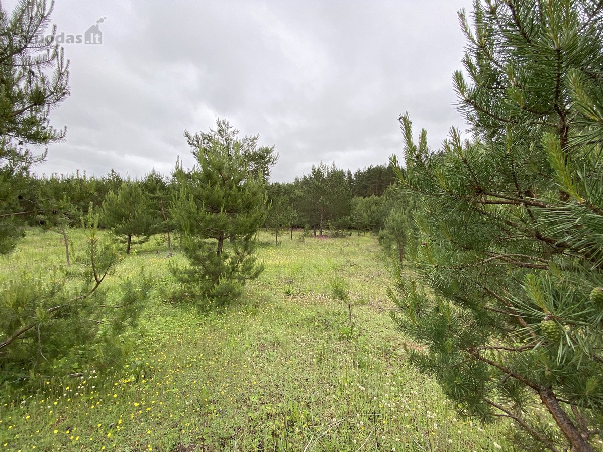 1,92 h ž sklypas, kaina 59520€  - nuotraukos Nr. 19