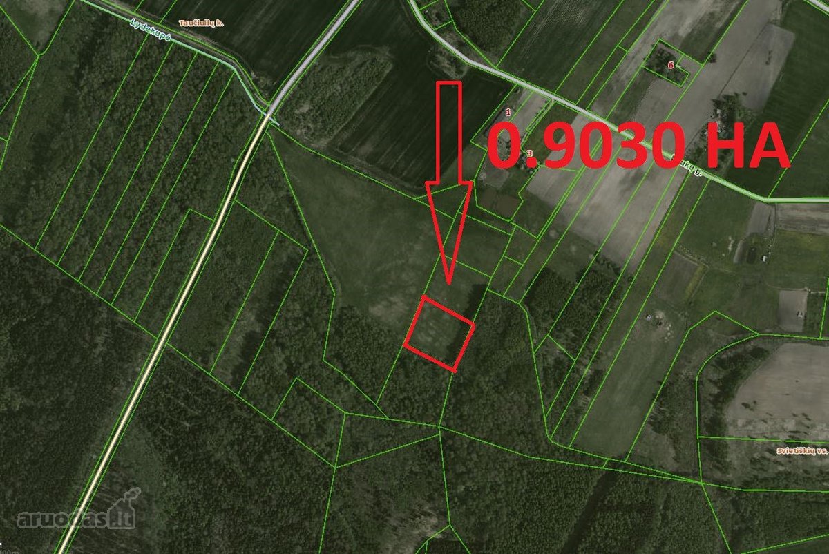 0.25 Ha Žemės Sklypas Širvintų R. Sav., - nuotraukos Nr. 8