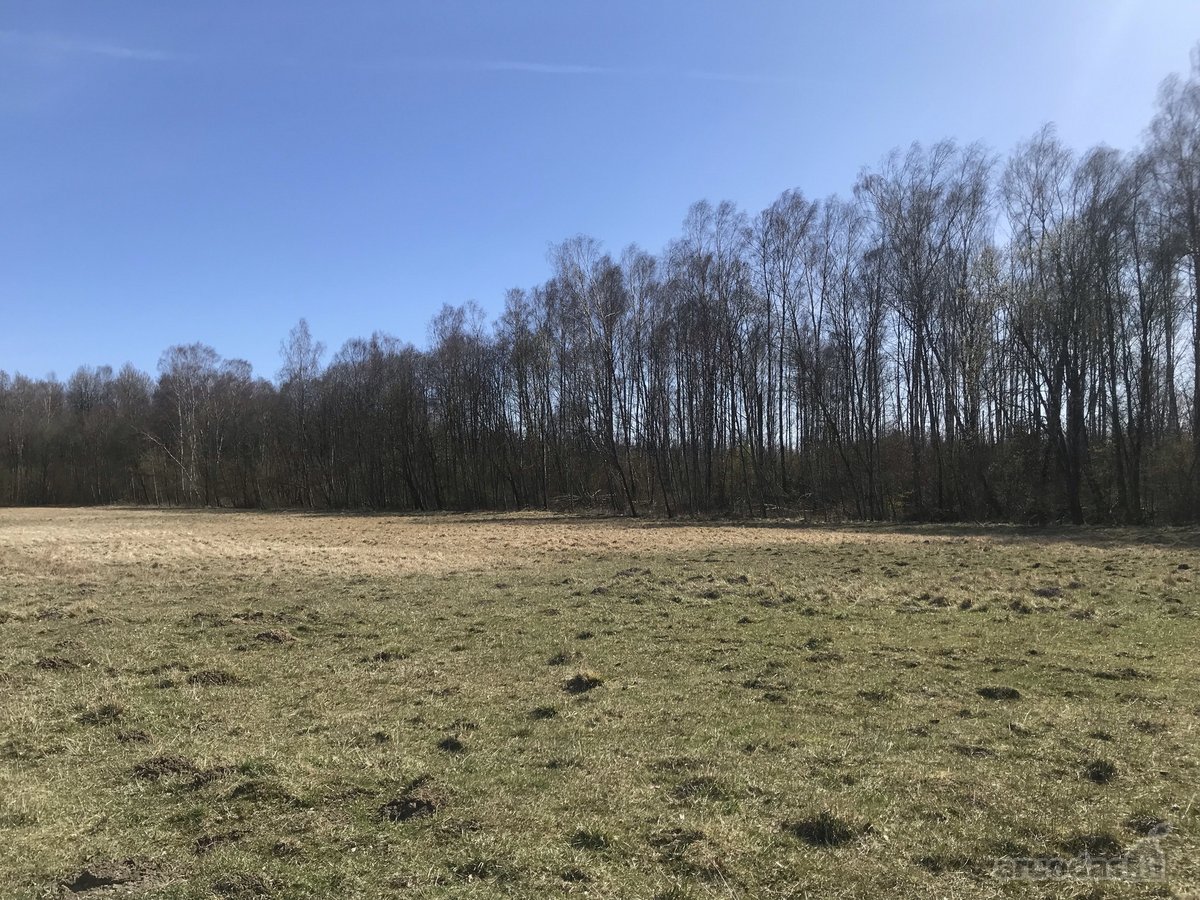 0.25 Ha Žemės Sklypas Širvintų R. Sav., - nuotraukos Nr. 6