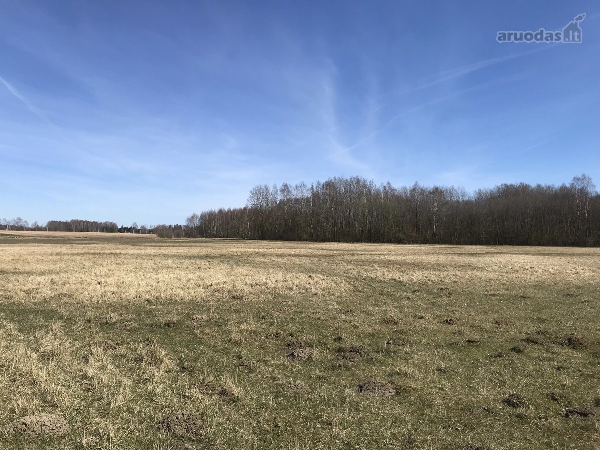 0.25 Ha Žemės Sklypas Širvintų R. Sav., - nuotraukos Nr. 3