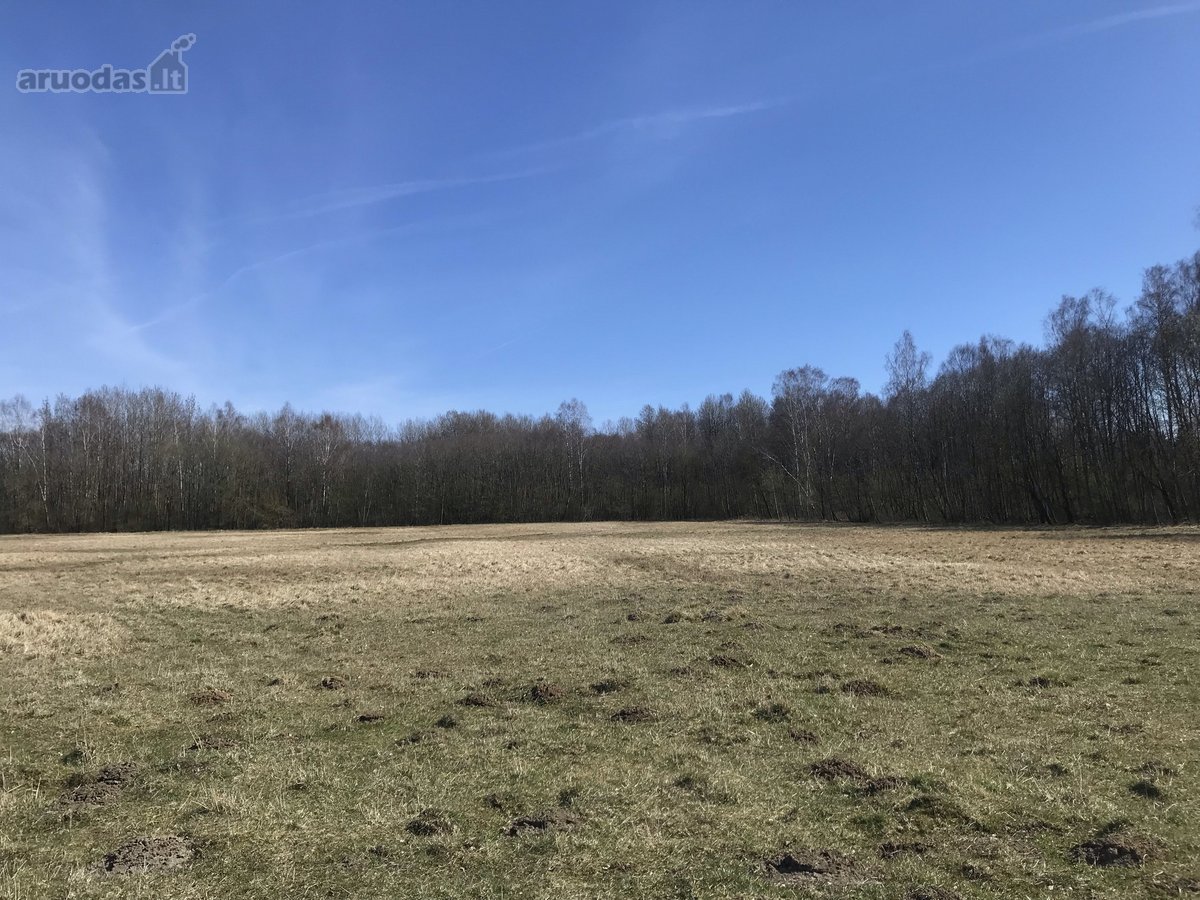 0.25 Ha Žemės Sklypas Širvintų R. Sav., - nuotraukos Nr. 4