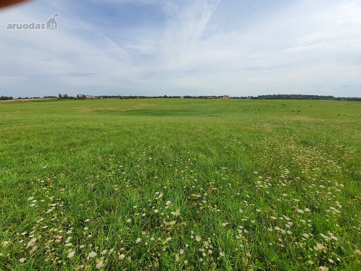 Alytaus priemiestyje - Jurgiškių k., - nuotraukos Nr. 8