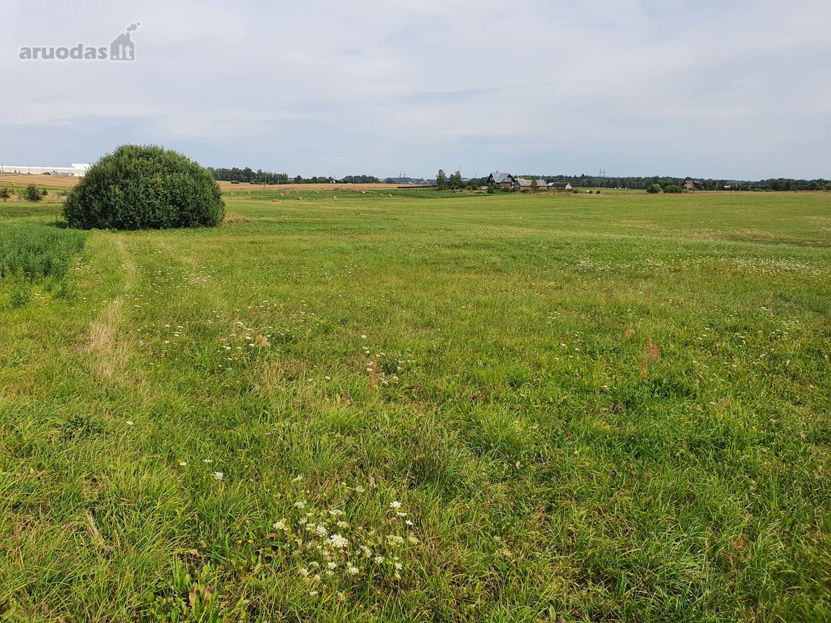 Alytaus priemiestyje - Jurgiškių k., - nuotraukos Nr. 10