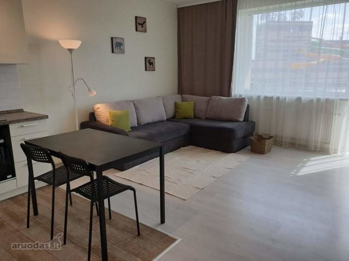 Nuo spalio 9 d. nuomojamas erdvus, pilnai - nuotraukos Nr. 2