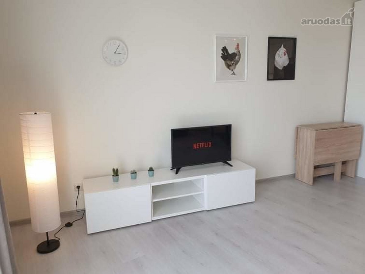 Nuo spalio 9 d. nuomojamas erdvus, pilnai - nuotraukos Nr. 3