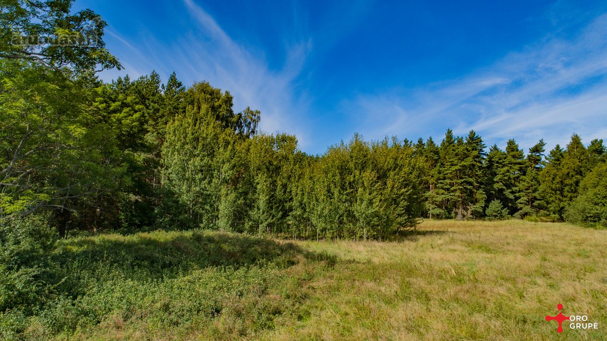 Parduodami du sklypai be tarpininkų vienas - nuotraukos Nr. 11