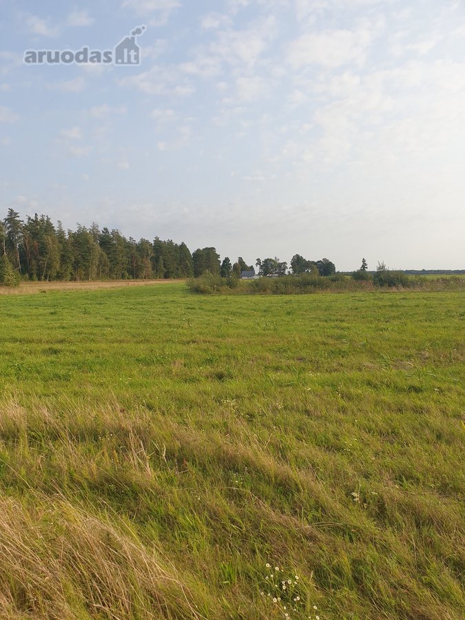 Parduodamas 18 arų, gyvenamosios paskirties - nuotraukos Nr. 7