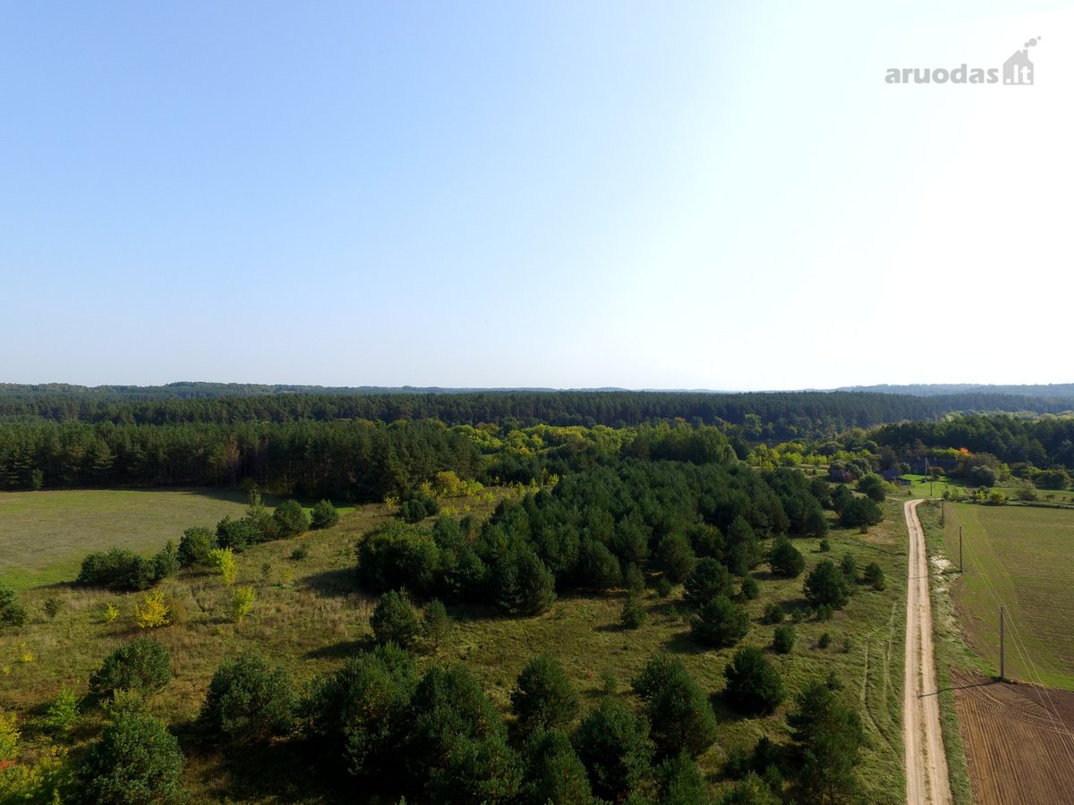 Parduodamas unikalus sklypas sodybai su - nuotraukos Nr. 9