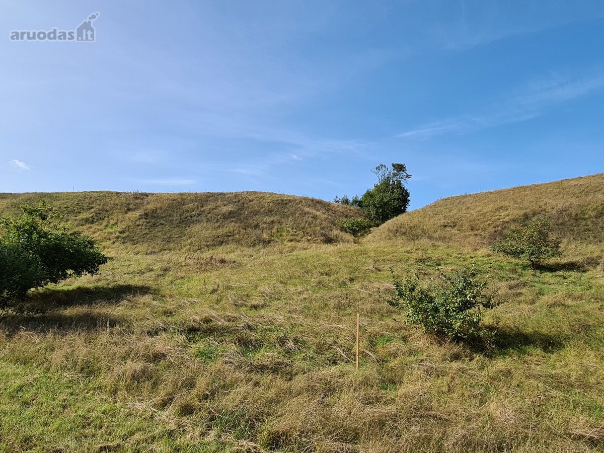 Parduodamas 2,10 ha žemės ūkio paskirties - nuotraukos Nr. 4