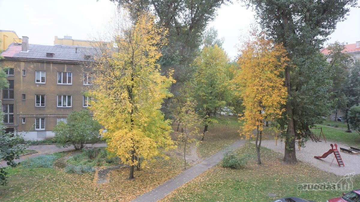 Susukome puikų šeimos lizdą ir, pagausėjus - nuotraukos Nr. 16