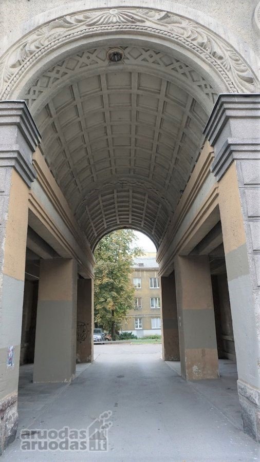 Susukome puikų šeimos lizdą ir, pagausėjus - nuotraukos Nr. 17
