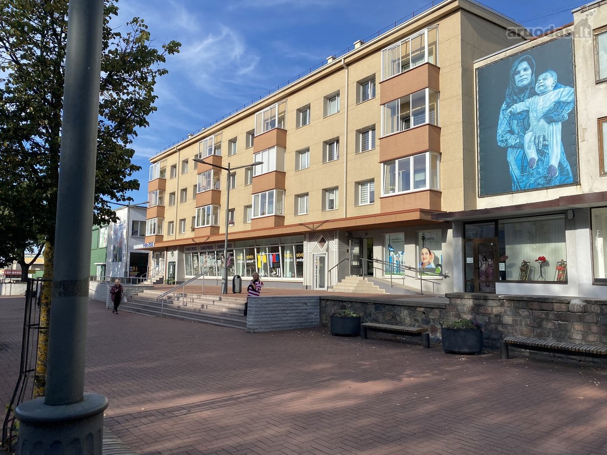 Išnuomojamas butas miesto pėščiųjų bulvare: - nuotraukos Nr. 9