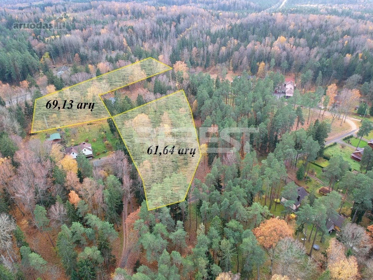 Parduodamas 61,64 arų plotos sklypas ypač - nuotraukos Nr. 6