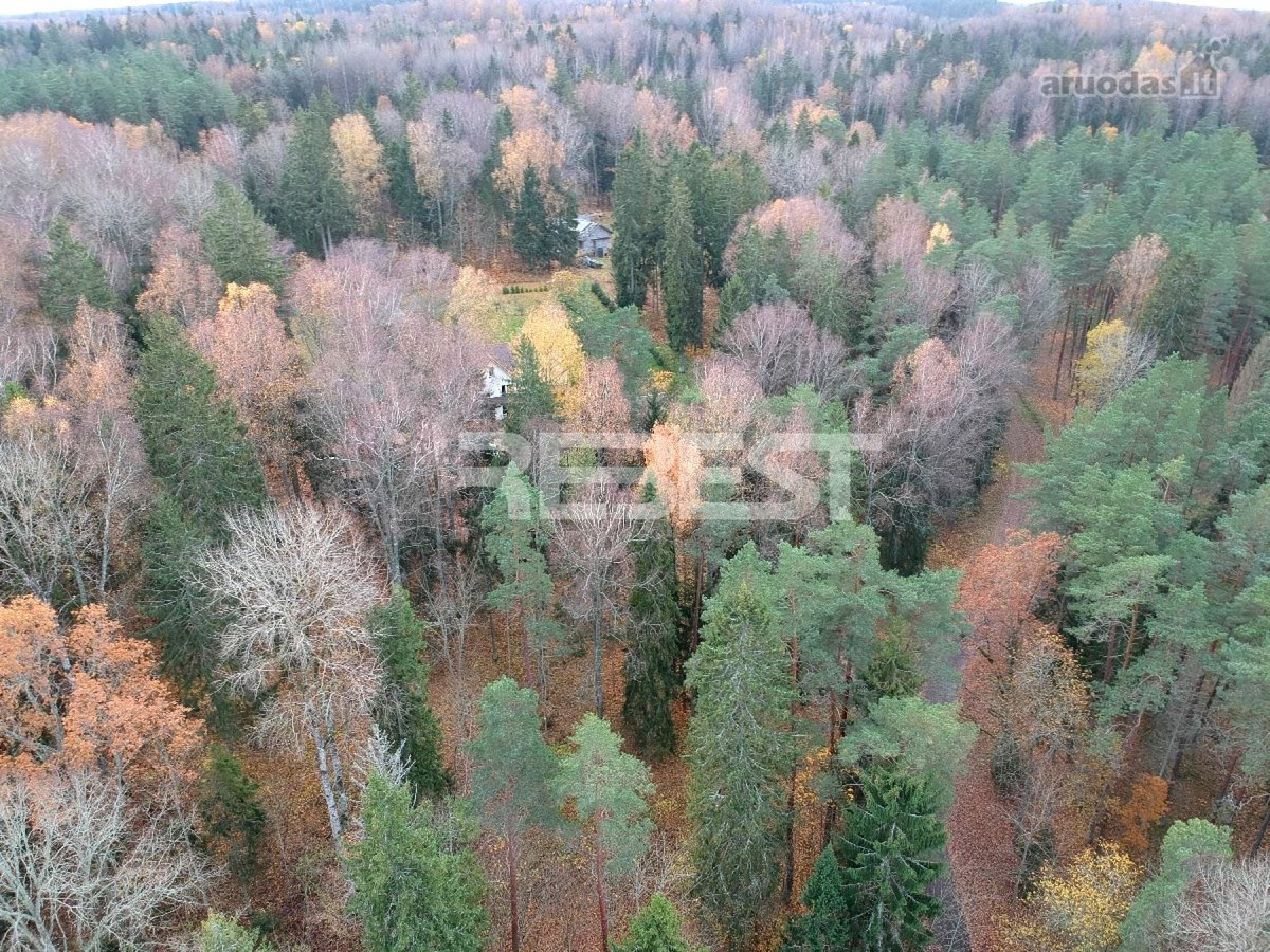 Parduodamas 61,64 arų plotos sklypas ypač - nuotraukos Nr. 4