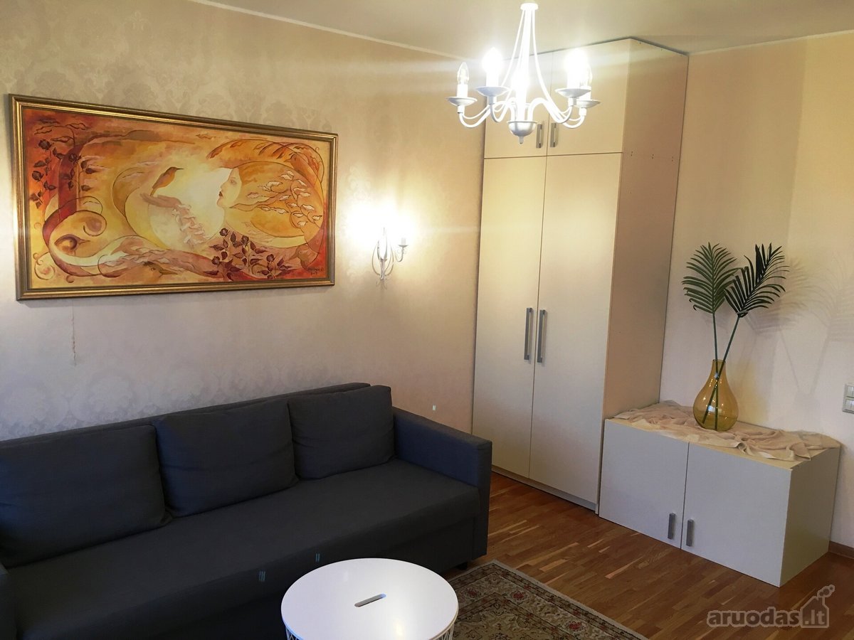Erdviame, jaukiame, labai šviesiame bute prie - nuotraukos Nr. 12