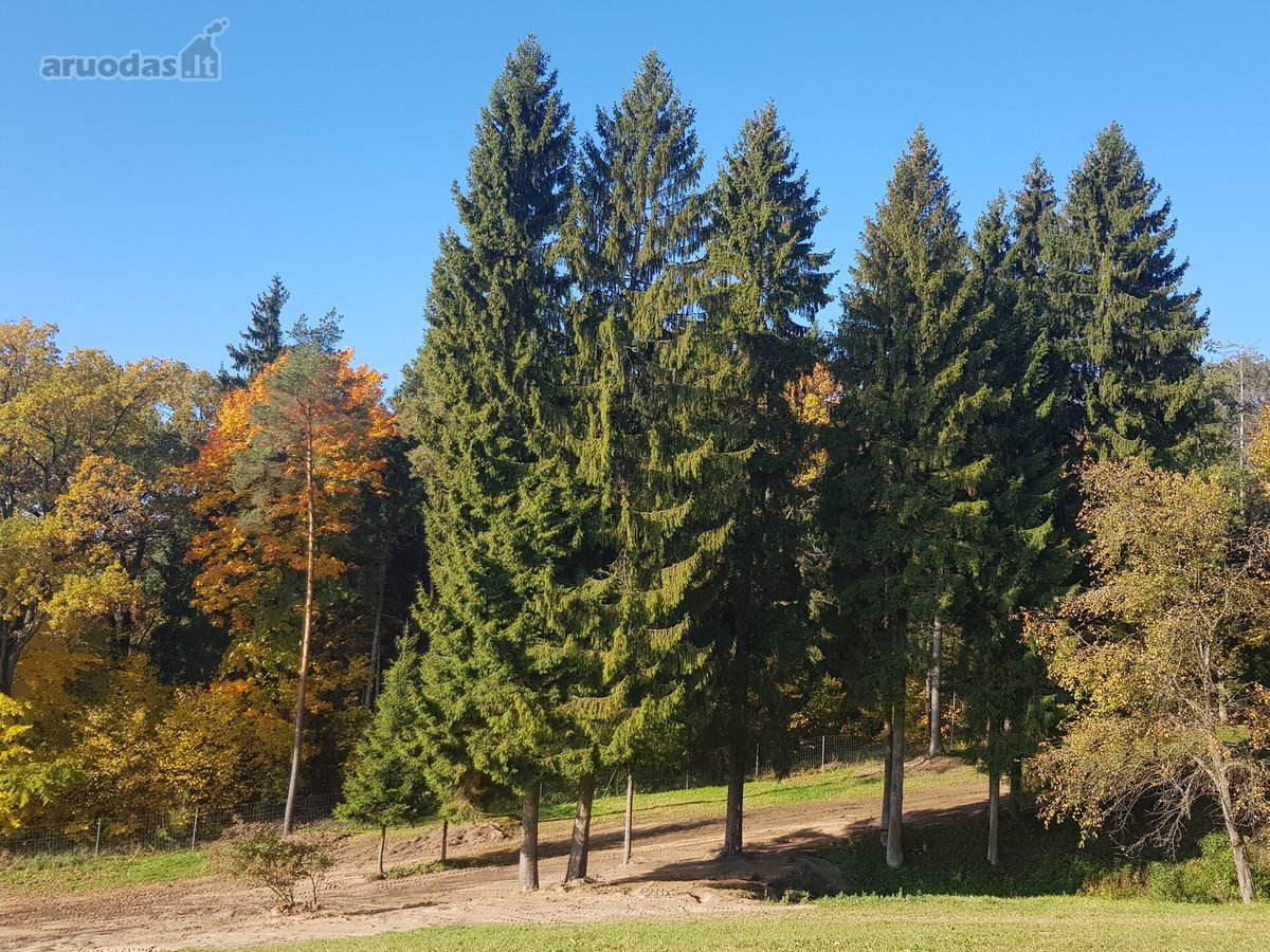 Parduodami sklypai. Ieškantiems geriausio ! - nuotraukos Nr. 18