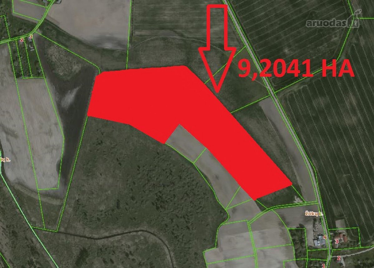 9.2041 Ha Žemės Sklypas Širvintų R. Sav., - nuotraukos Nr. 6