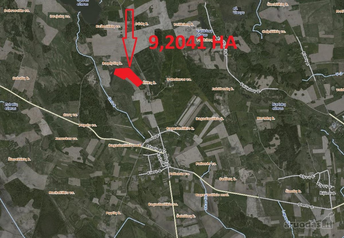 9.2041 Ha Žemės Sklypas Širvintų R. Sav., - nuotraukos Nr. 5