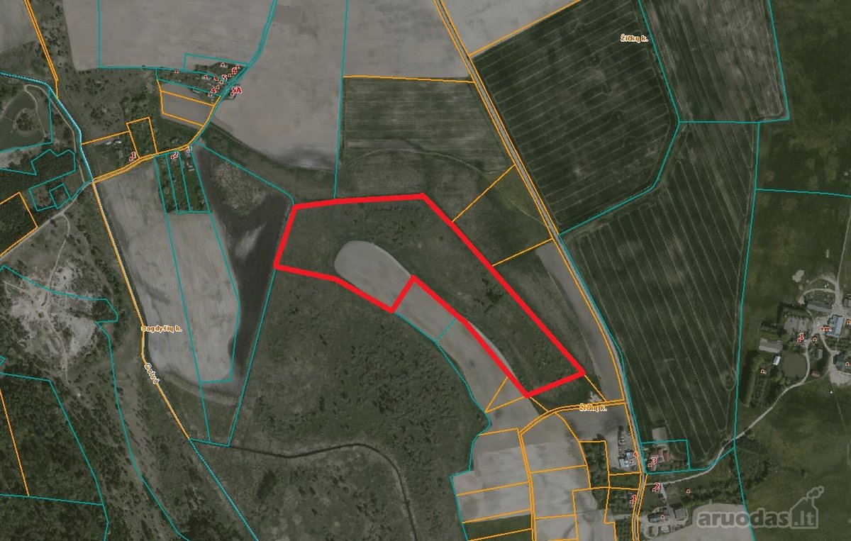 9.2041 Ha Žemės Sklypas Širvintų R. Sav., - nuotraukos Nr. 4