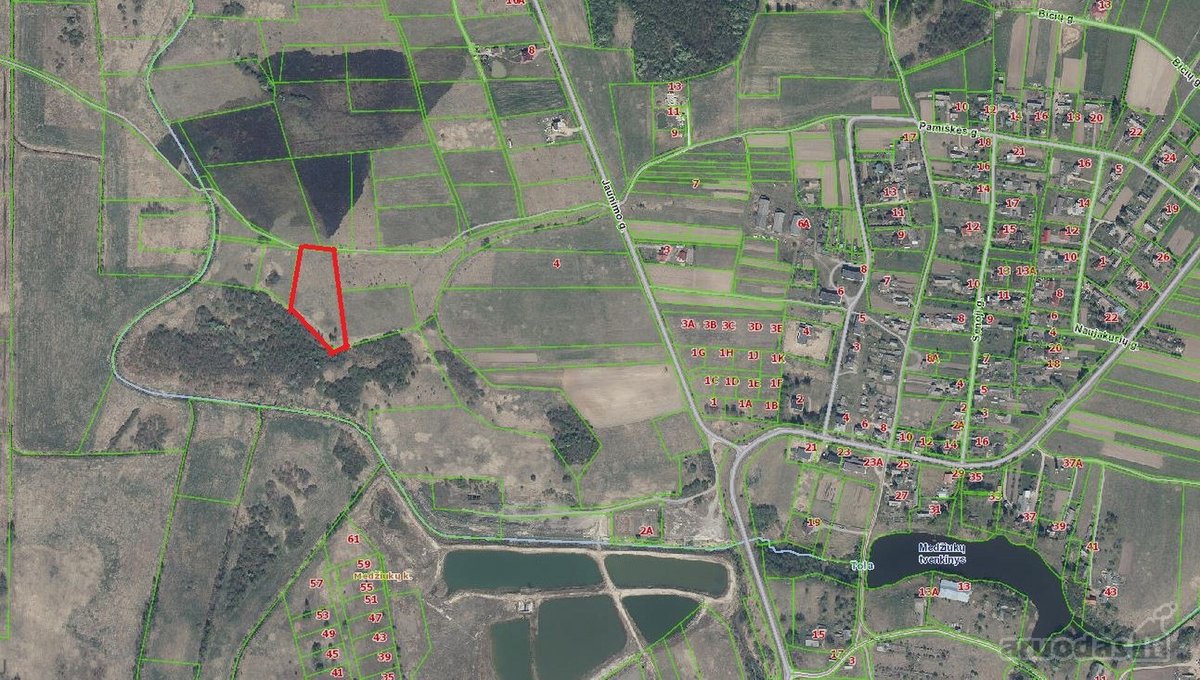0.87 Ha Žemės Sklypas Širvintų R. Sav., - nuotraukos Nr. 8