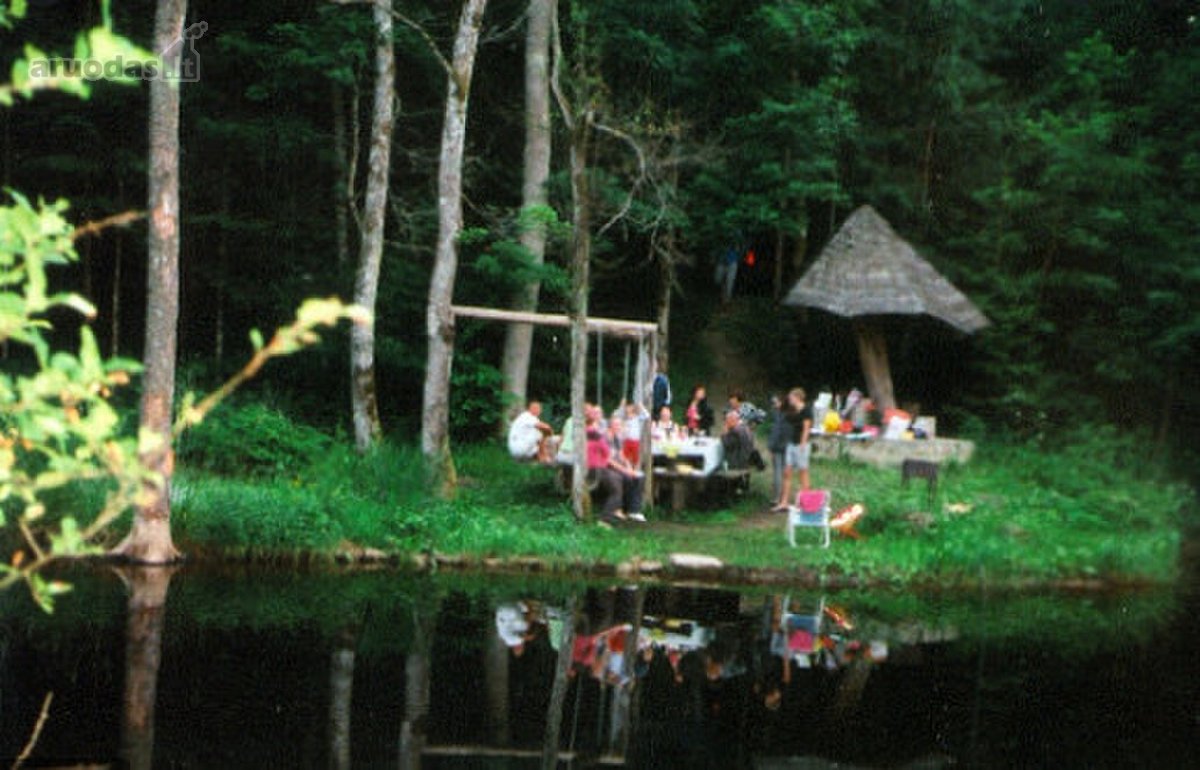 Parduodamas Senolių Parkas (8 ha). Sklypas su - nuotraukos Nr. 4