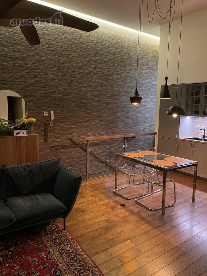 Loftas. Nuo gruodžio 1 d. Erdvi svetainė - - nuotraukos Nr. 7