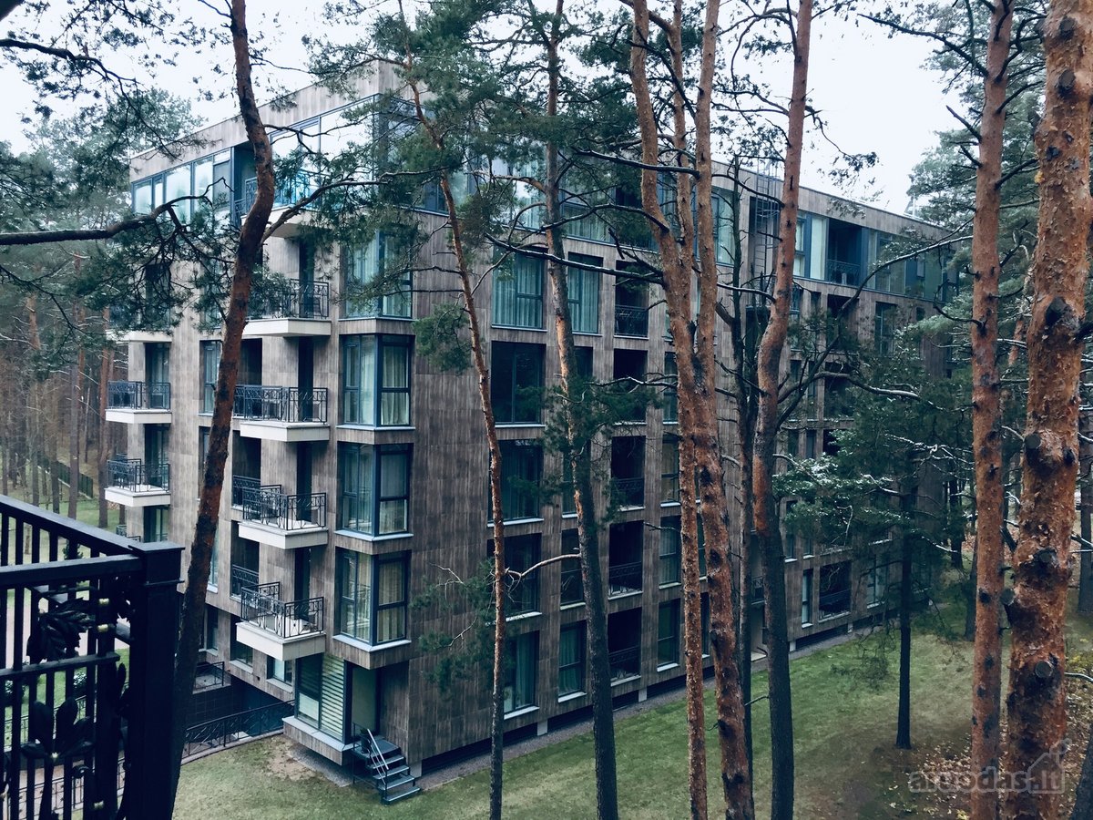 Namai Šalia Nemuno, apsupti gamtos ramybės ir - nuotraukos Nr. 69