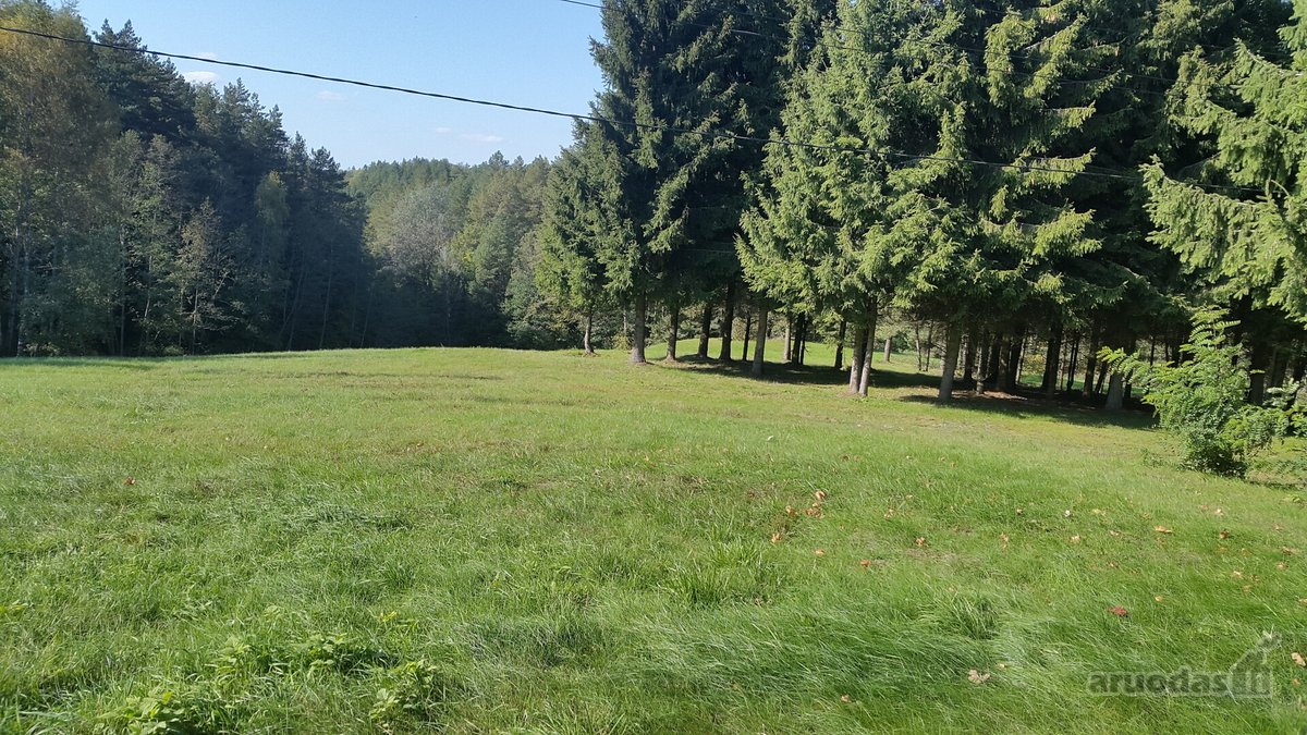 Antakalnyje, Pavilnių regioniniame parke - nuotraukos Nr. 13