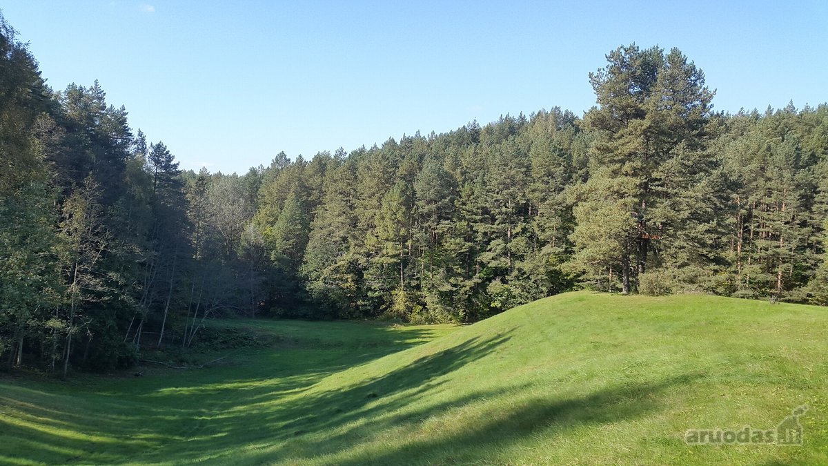 Antakalnyje, Pavilnių regioniniame parke - nuotraukos Nr. 14