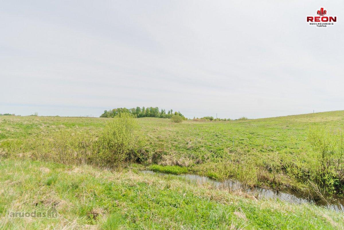 75 Arų Žemės Ūkio Paskirties Sklypas Šalia - nuotraukos Nr. 3