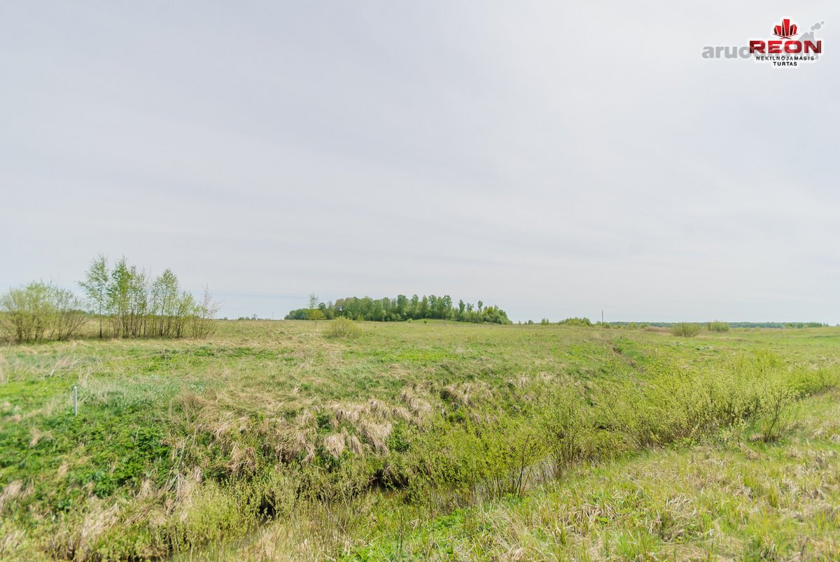 75 Arų Žemės Ūkio Paskirties Sklypas Šalia - nuotraukos Nr. 4