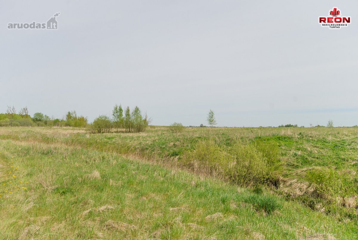 75 Arų Žemės Ūkio Paskirties Sklypas Šalia - nuotraukos Nr. 7