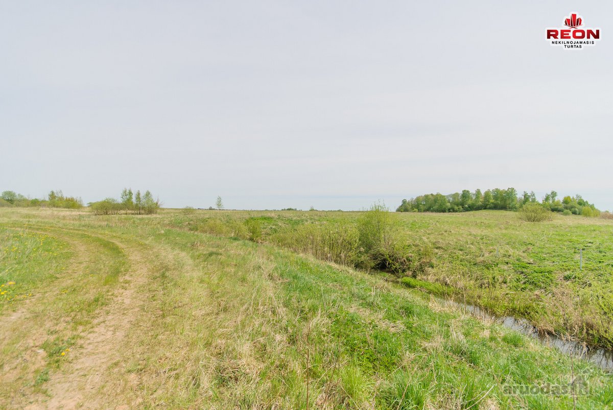 75 Arų Žemės Ūkio Paskirties Sklypas Šalia - nuotraukos Nr. 8