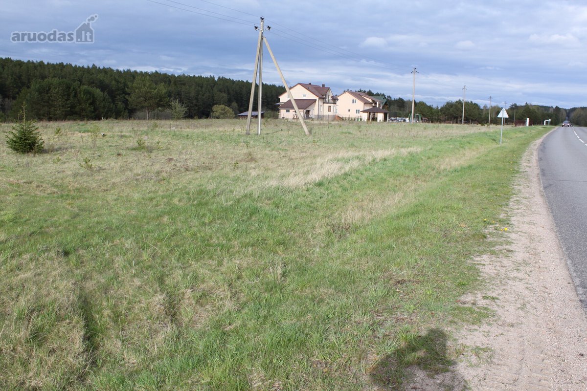 Vaizdingoje ir ramioje vietovėjė prie Neries - nuotraukos Nr. 13