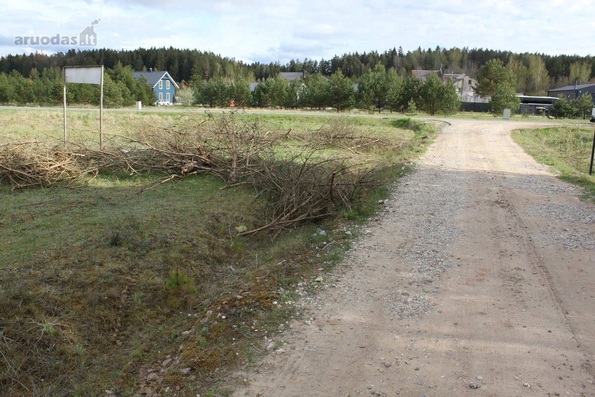 Vaizdingoje ir ramioje vietovėjė prie Neries - nuotraukos Nr. 14
