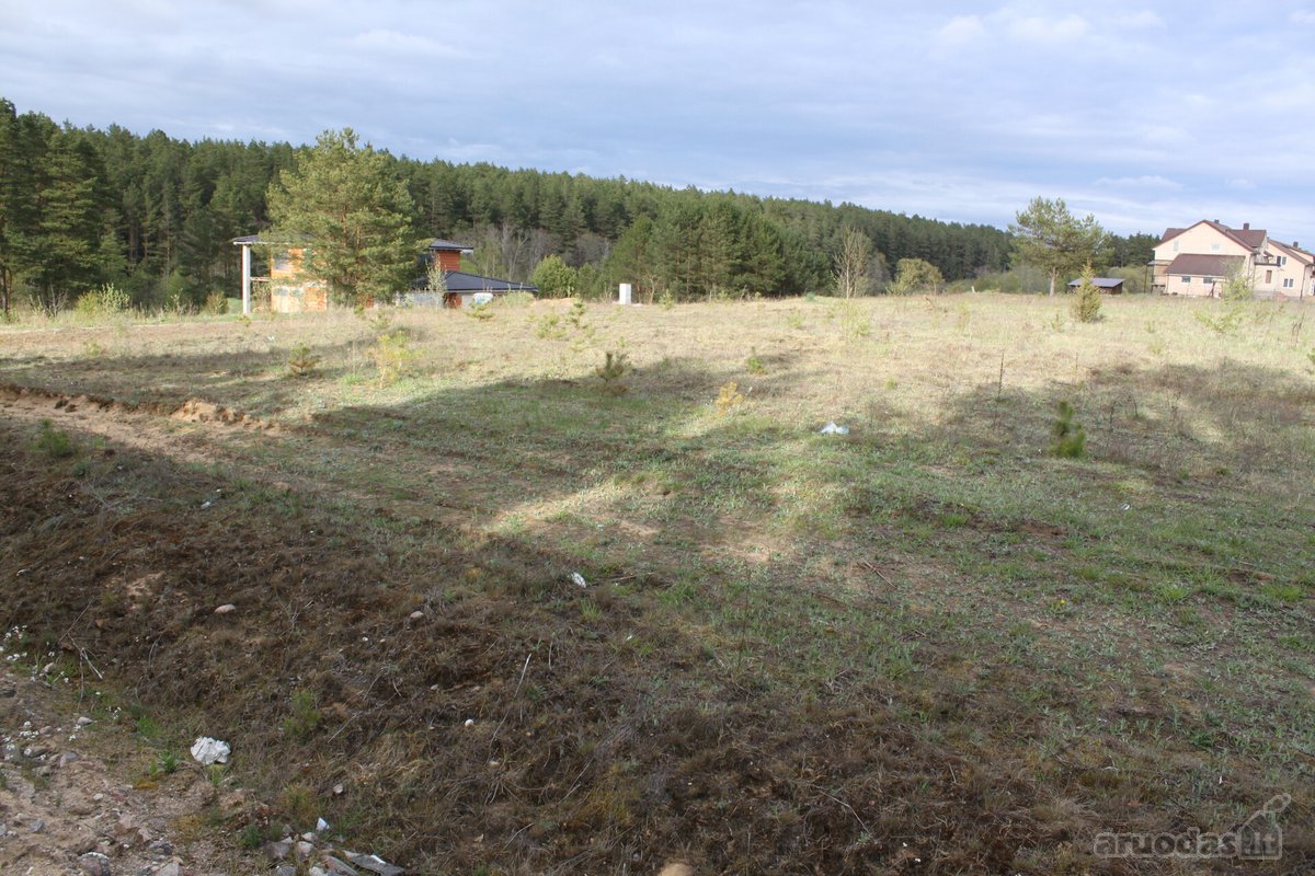 Vaizdingoje ir ramioje vietovėjė prie Neries - nuotraukos Nr. 16